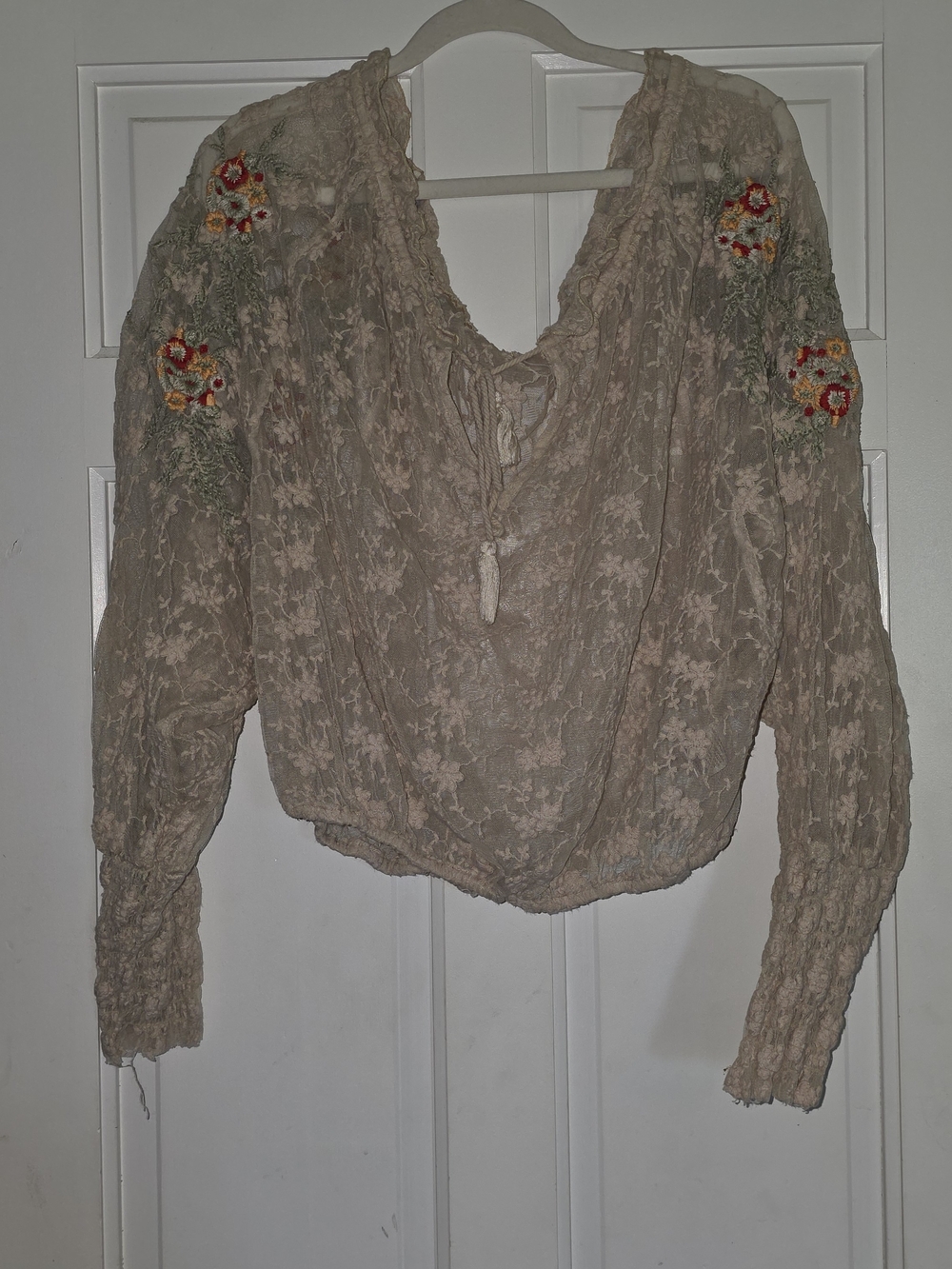 Free People Blush Lace Embroidered Peasant Top